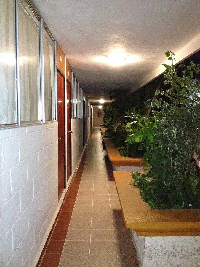 Hotel Safari Tuxtla Gutiérrez エクステリア 写真
